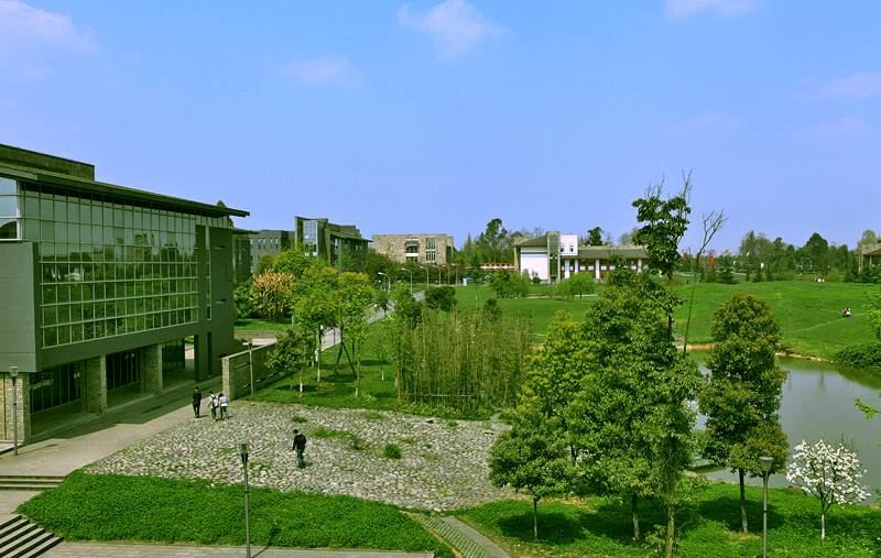 最新精美成都东软学院毕业论文毕业设计答辩动态ppt模板